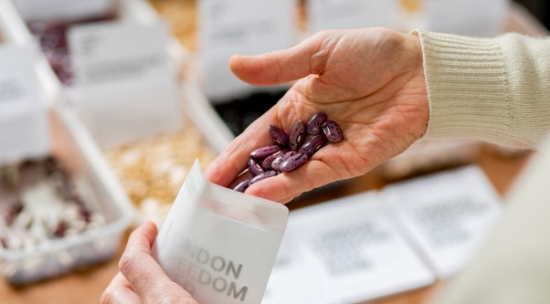 People are discovering a love for growing and are sharing that with their communities. Image: London Freedom Seedbank