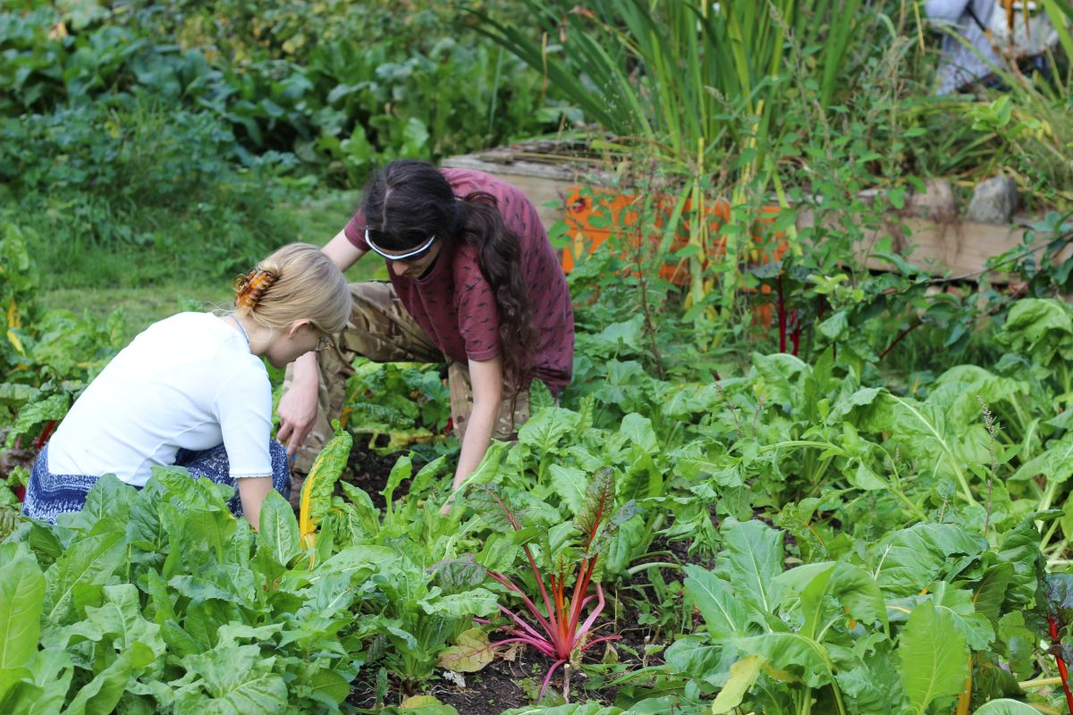 Whatever space you have access to, get growing this spring ...