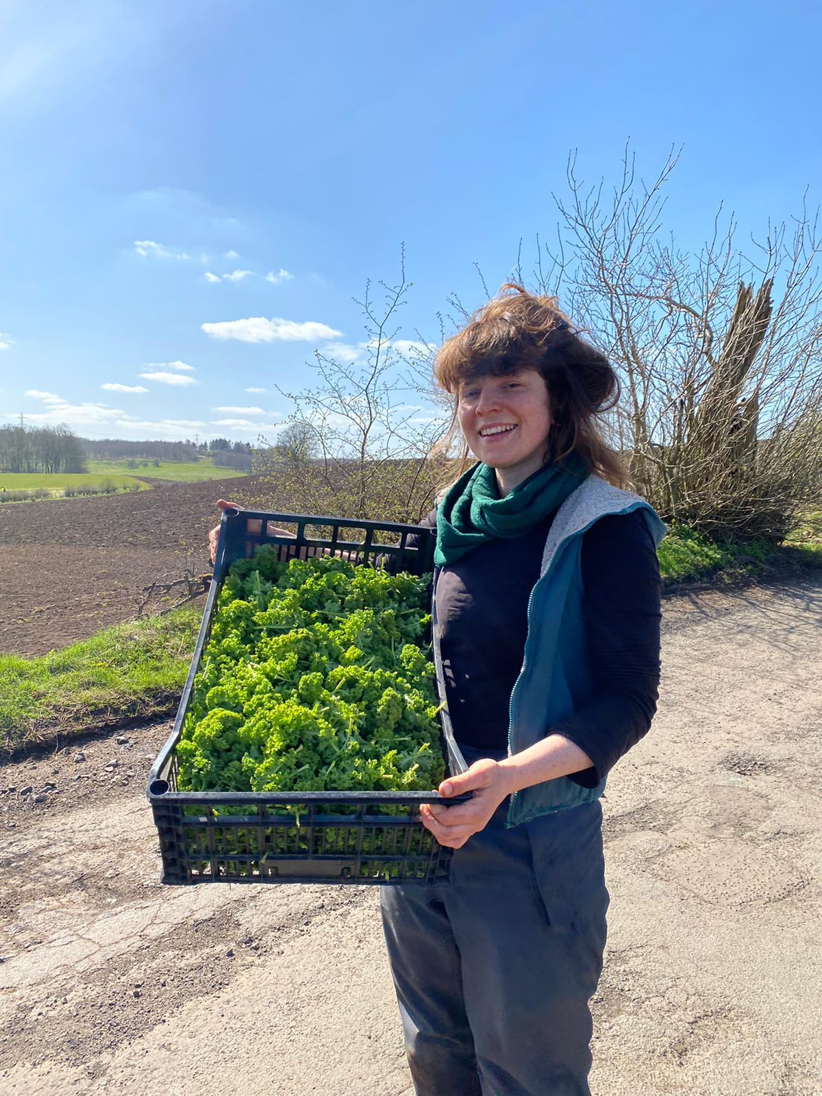 Glasgow Locavore donates kale to GCFN